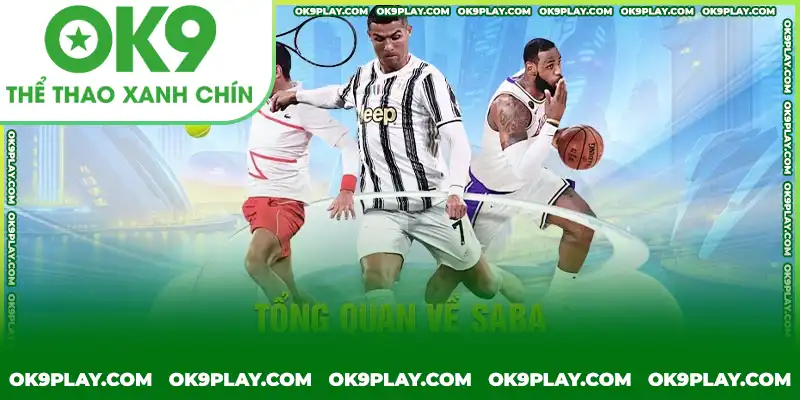 Tổng quan cơ bản về SABA THỂ THAO Tổng quan cơ bản về SABA THỂ THAO